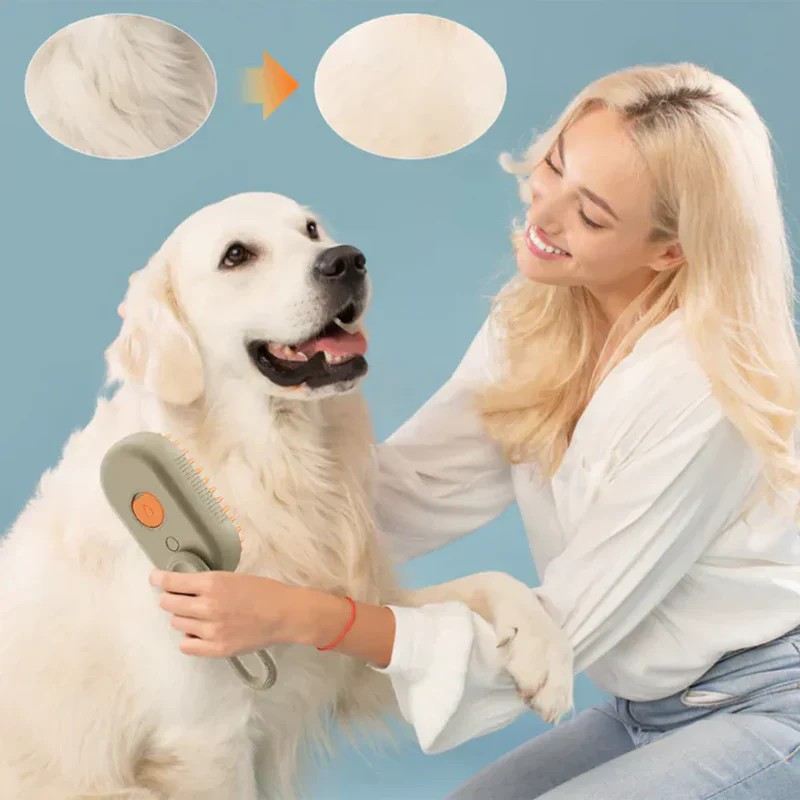 gid://shopify/MediaImage/33790506041535